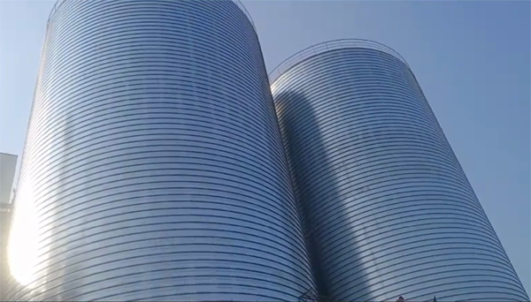 龙游2座混凝土高架卷板仓